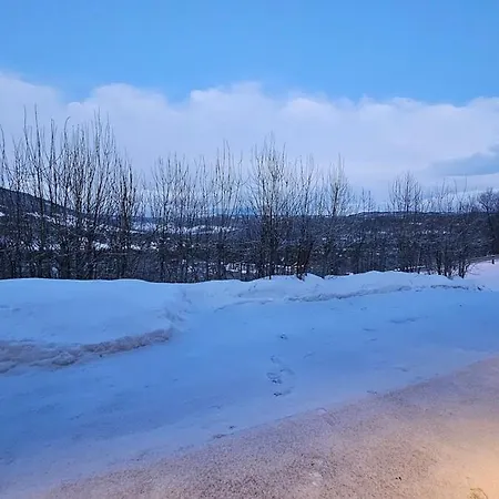In Geilo Lejlighed Hol (Buskerud)
